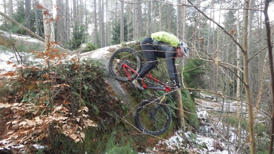 Klicken für Bild in voller Größe