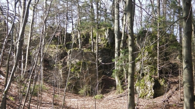 Klicken für Bild in voller Größe