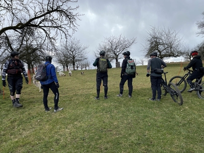 Klicken für Bild in voller Größe