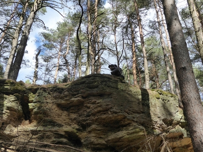 Klicken für Bild in voller Größe