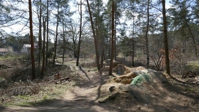 Klicken für Bild in voller Größe