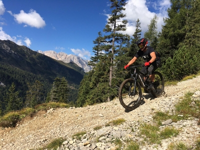 Klicken für Bild in voller Größe