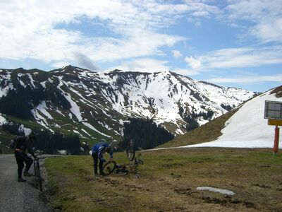 Klicken für Bild in voller Größe
