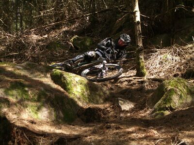 Klicken für Bild in voller Größe