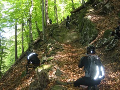 Klicken für Bild in voller Größe