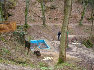 Klicken für Bild in voller Größe