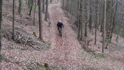 Klicken für Bild in voller Größe