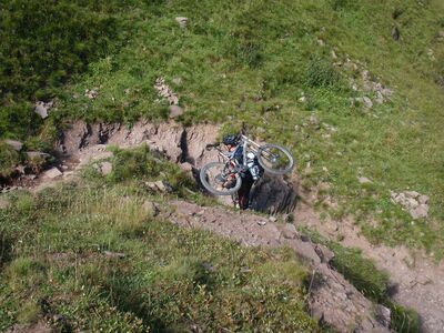 Klicken für Bild in voller Größe