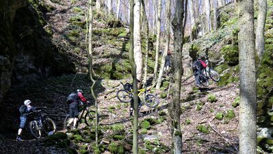 Klicken für Bild in voller Größe