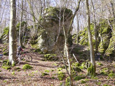 Klicken für Bild in voller Größe