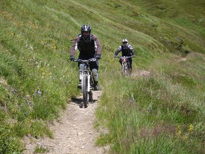 Klicken für Bild in voller Größe