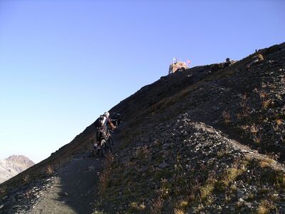 Klicken für Bild in voller Größe