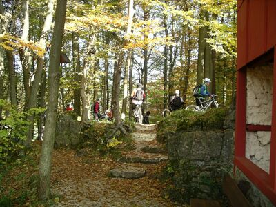 Klicken für Bild in voller Größe