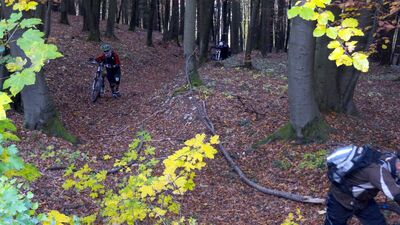 Klicken für Bild in voller Größe