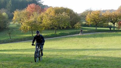 Klicken für Bild in voller Größe