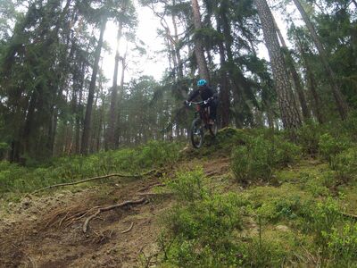 Klicken für Bild in voller Größe