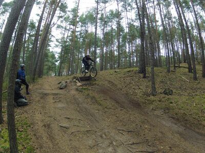 Klicken für Bild in voller Größe