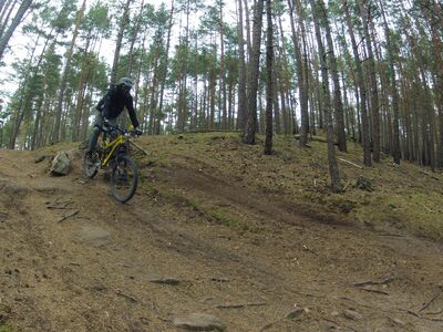 Klicken für Bild in voller Größe