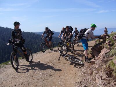 Klicken für Bild in voller Größe