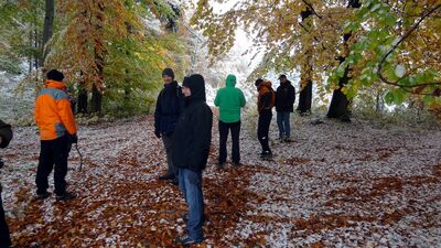 Klicken für Bild in voller Größe