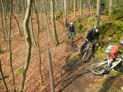 Klicken für Bild in voller Größe