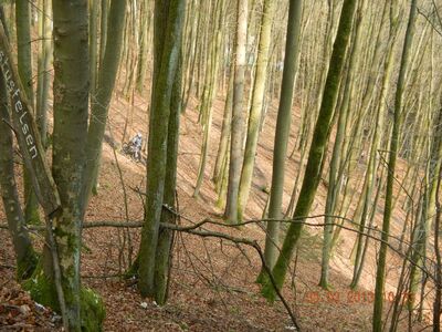 Klicken für Bild in voller Größe