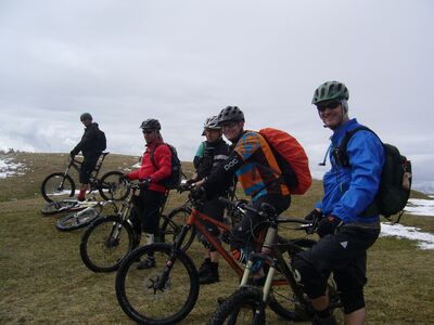 Klicken für Bild in voller Größe