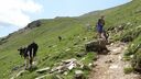 Ortler_Juli_2013__102.jpg