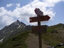 Ortler_Juli_2013__105.jpg