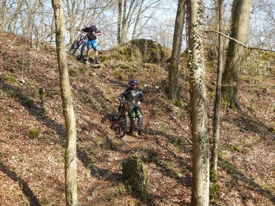 Klicken für Bild in voller Größe