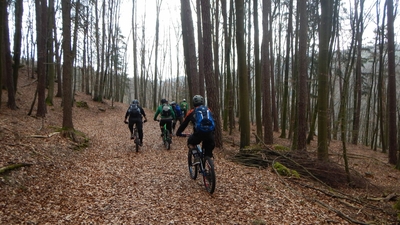 Klicken für Bild in voller Größe