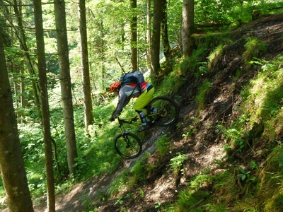 Klicken für Bild in voller Größe