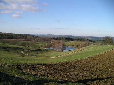 Klicken für Bild in voller Größe