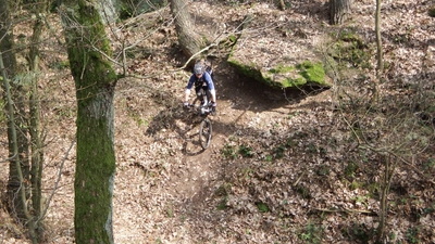 Klicken für Bild in voller Größe