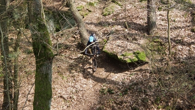 Klicken für Bild in voller Größe