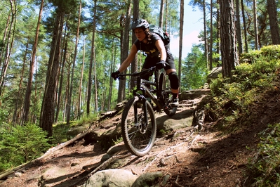 Klicken für Bild in voller Größe