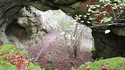 Klicken für Bild in voller Größe