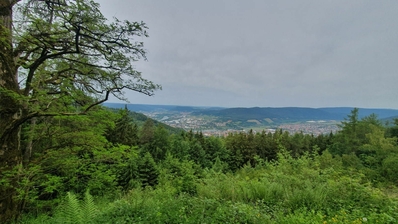 Klicken für Bild in voller Größe