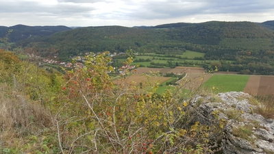 Klicken für Bild in voller Größe