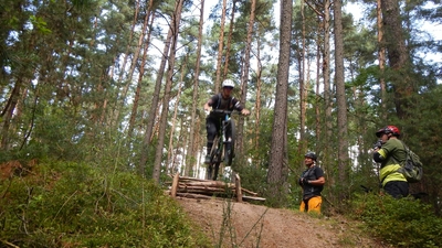 Klicken für Bild in voller Größe